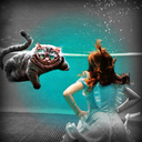 cheerfulleaderinaseaofbitterness avatar