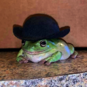 cheerupqueerup avatar