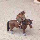 cheese-crusts avatar