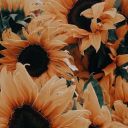 cheese-grater11 avatar