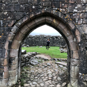 cheeseandginger avatar