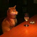 cheeseburgers avatar