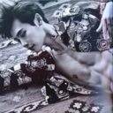 cheesecakedaisy-blog avatar