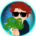 cheeseplants avatar