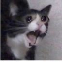 cheeseprince00 avatar