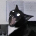 cheesewarlock avatar