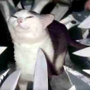 cheesy-bagels avatar