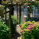 cheesyitem-blog avatar