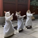 cheeszukimbap avatar