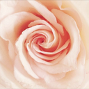 cheikha-1-blog avatar