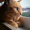 chellybellybaby avatar