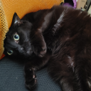 chelseadearfromao3 avatar