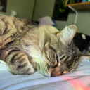 chelseagetalife avatar