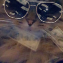 chelseaisavegan avatar