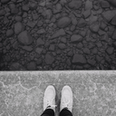 chelsealscott avatar