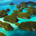 chelseawilcox avatar