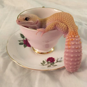 chemical-princesss avatar