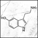chemicalunrest avatar