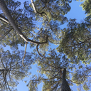 chemistraboratory avatar