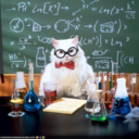 chemistrycats-blog-blog avatar