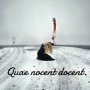 chenesaradime avatar