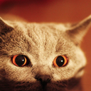 chenhuairenchenhuairen-blog avatar