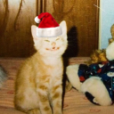 chericheribaby avatar