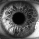 cherishtheclouds avatar