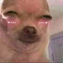 cherriebbyyyy avatar