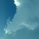 cherries-with-sweets avatar