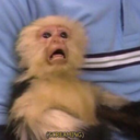 cherriesemoji avatar