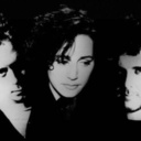 cherry-coloured-knoll avatar