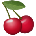 cherry-discourse avatar