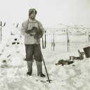 cherry-my-beloved avatar