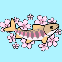 cherry-salmon avatar