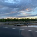 cherryblossom71 avatar