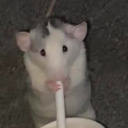 cherryblossompancake avatar