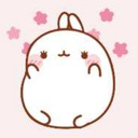 cherryblossoms-rneat avatar