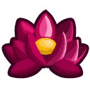 cherryblossomsplace avatar