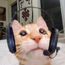 cherrycherryali avatar