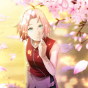 cherryflowersakuraharuno avatar