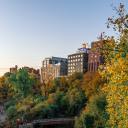 cherryjoobebe avatar