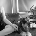 cherrylipscrystallskies avatar