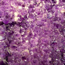 cherryplumleo-blog avatar