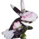 cherryrunawayshop avatar