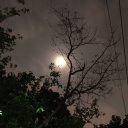 cherrywonderss avatar