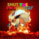 cherubiz-moved avatar