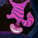 chesh-cat-rus avatar