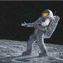 cheshire-boulevard avatar