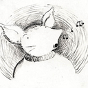 cheshire-trugs avatar